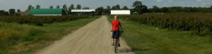 bikeFarm_wideNarrow1.jpg